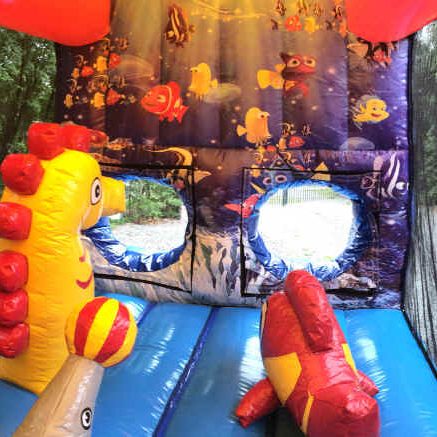 chateau gonflable nemo
