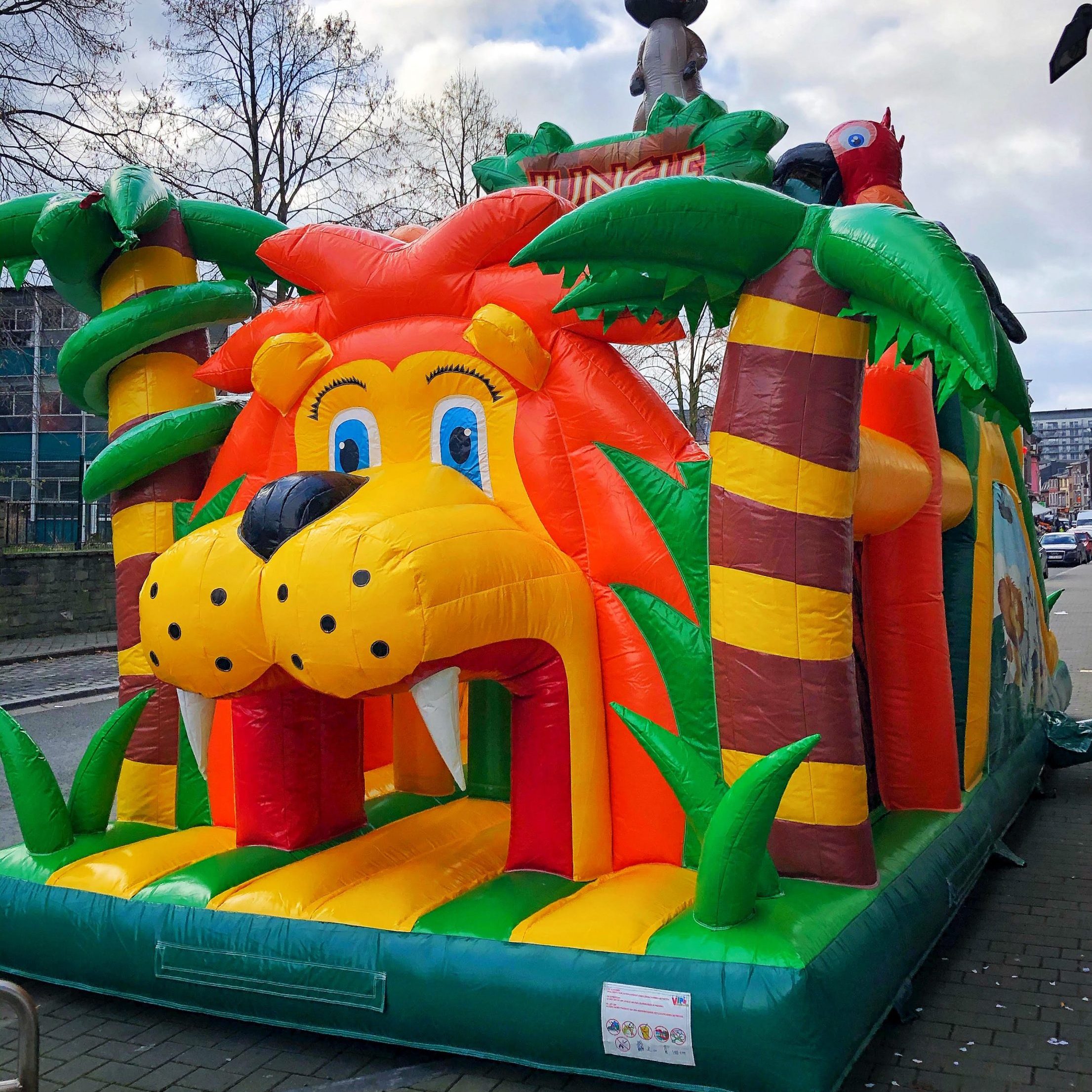 chateau gonflable lion